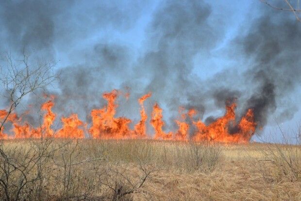 У Ковелі горів автомобіль, на Камінь-Каширщині – дрова