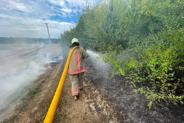 На Волині палав торф'яник та суха трава