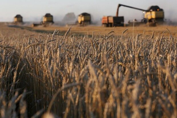 Експорт аграрної продукції з України перетнув рекордну позначку в 20 мільярдів доларів