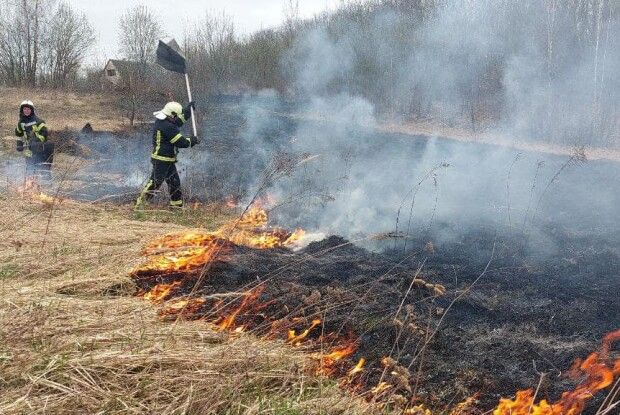 Поблизу бандерівського села на Волині підпалили сухостій