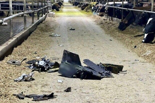 На Чернігівщині ворог дронами атакував ферму: загинули тварини