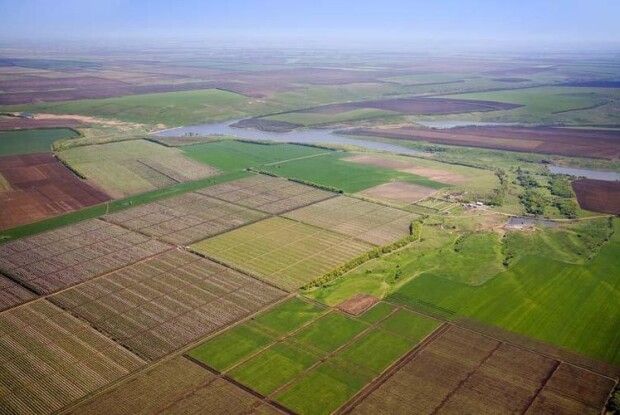Українці лідирують серед іноземців по купівлі землі в Польщі