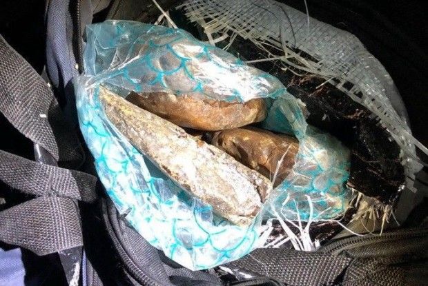 Контрабандисти хотіли вивезти з України до ЄС понад тонну бурштину. Серед спільників - митник 