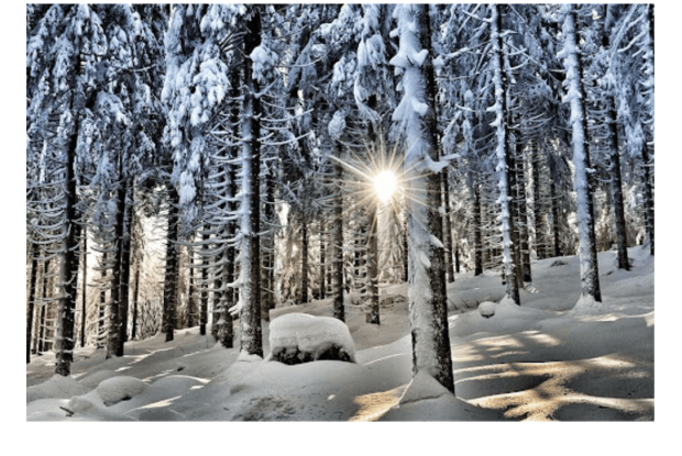 Якою буде погода на Волині в найближчі дні