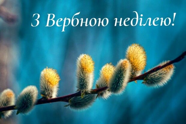 Вербна неділя: освячені гілки верби мають чудодійну силу