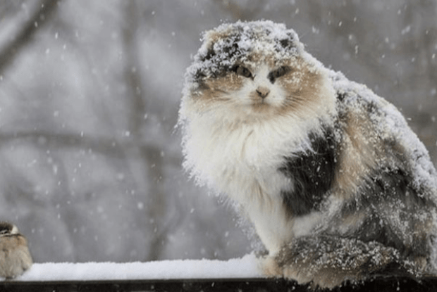 Якою буде погода на Волині 18 листопада