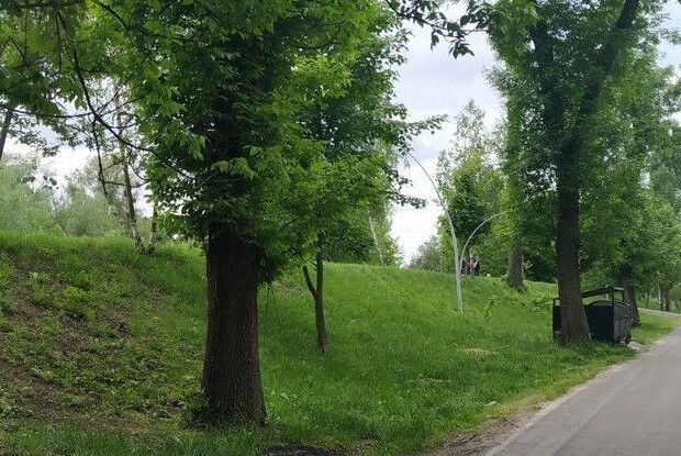 Луцьк озеленять за 120 мільйонів