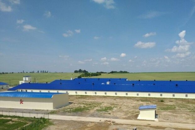 На Волині запрацювала нова птахоферма