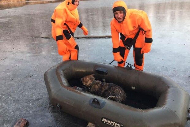Бійці ДСНС врятували пса, який провалився під кригу на Ворсклі (Фото)