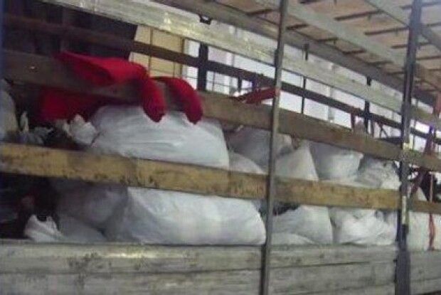Кінолога Волинської митниці підозрюють у зловживаннях на понад мільйон гривень