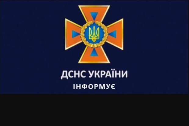 Ох і не нелегка була для волинських рятувальників робота – тягнути... коня із вигрібної ями (Фото)