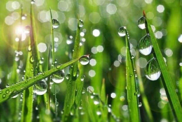 Якою буде сьогодні погода на Волині