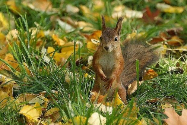 В Україні різко зміниться погода: синоптик назвала дату 