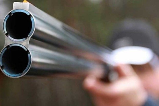 Вагітну кізку Білочку браконьєри не пошкодували…