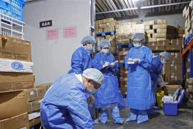 Коронавірус виявили на упаковці замороженої риби