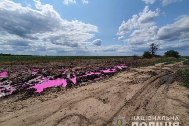 Рожеві калюжі під Рівним: поліція відкрила кримінал 