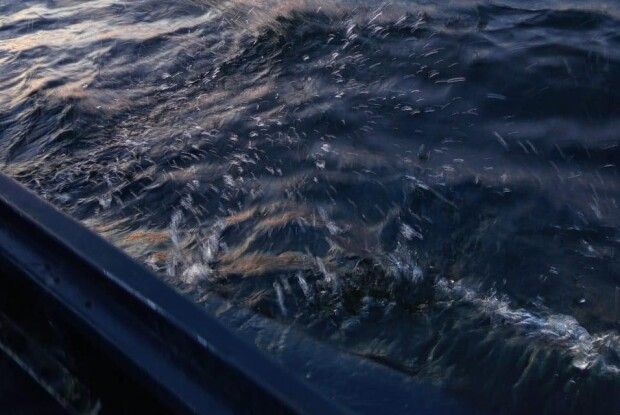 На волинському озері «ловили» браконьєрів 