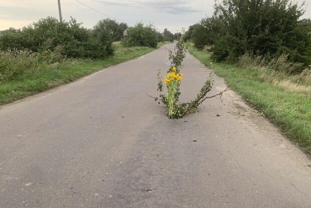 На Волині на дорозі місцевого значення утворилася велика вибоїна