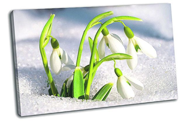 Доброї весни вам, люди!