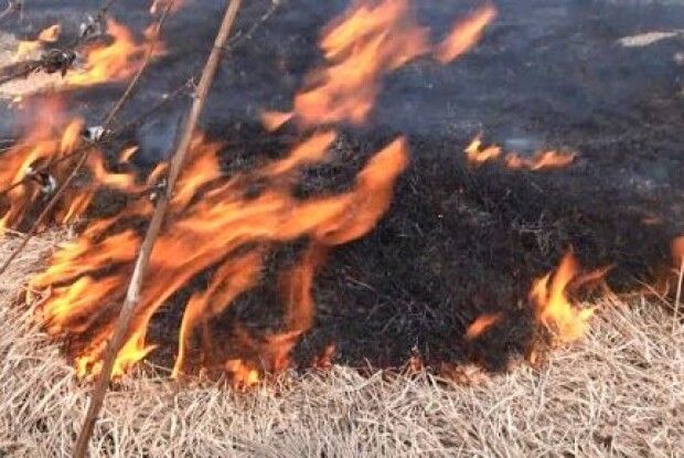 За спалювання стерні волинянин заплатить 3 тисячі гривень 