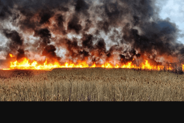 На Волині закликали громадян не ставати поплічниками путіна