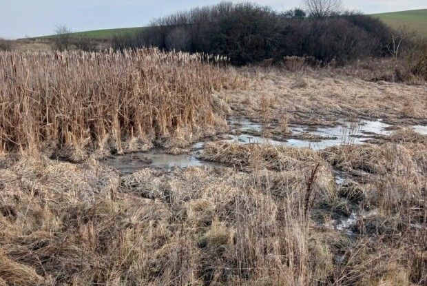 На Волині перевіряють масштабне забруднення земельних ділянок
