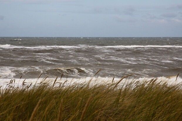ФСБ затримала риболовецьке судно з чотирма українцями