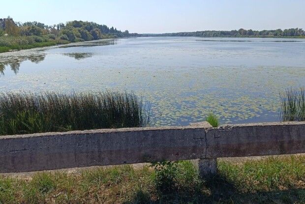 Волинські екологи досліджують воду через скидання нечистот у місцеве водосховище 