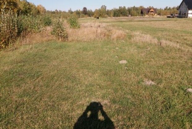 У Шацьку хочуть повернути у комунальну власність землі, які роздали «не тим» власникам