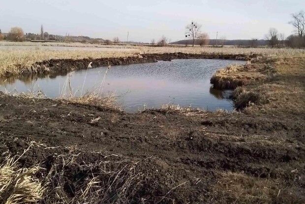 У Луцькому районі невідомі вирили незаконний ставок у заказнику