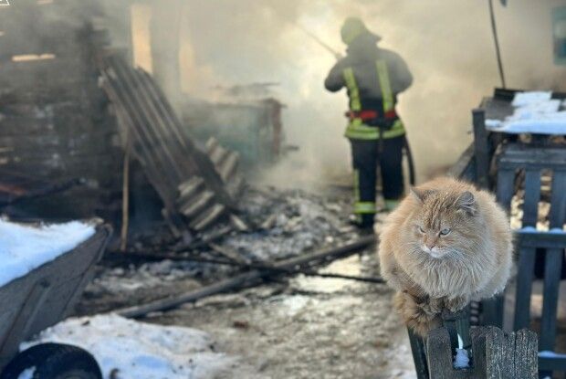 На Волині під час пожежі вогнеборці врятували кота (Фото)