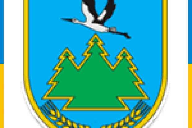 Колківська селищна рада візьме участь у проекті