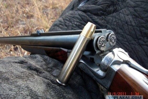 У Любешові поліція перевіряє факт незаконного полювання