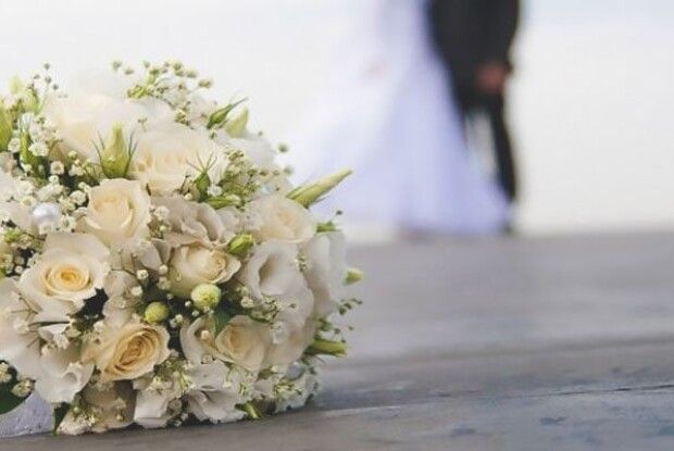 Весілля скасувало...  собача