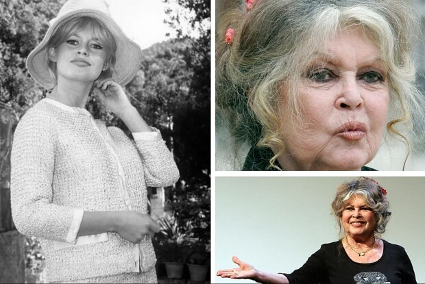 Секс-символ та легенда кіно Бріжіт Бардо відмовилась від свого сина