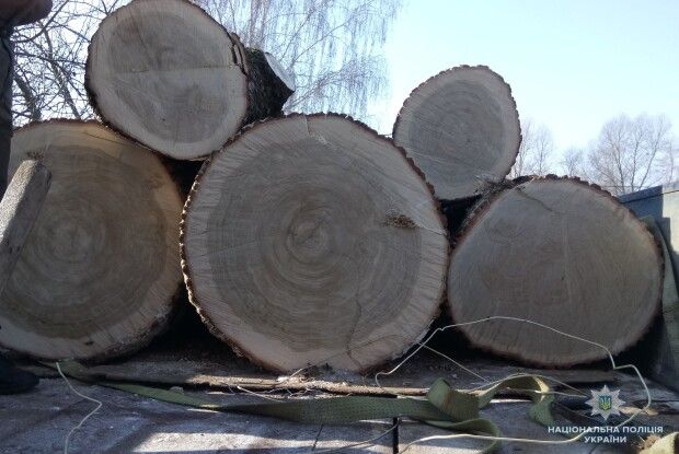 На Волині затримали дві вантажівки, завантажені підозрілим лісом