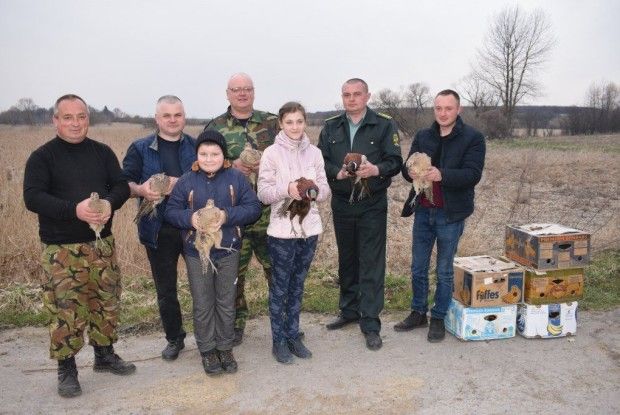 На Горохівщині успішно діють учнівські лісництва
