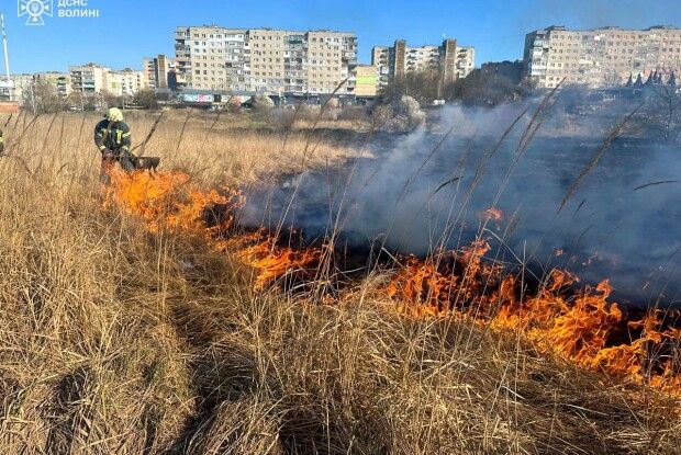 На Волині горіло 9 гектарів сухостою