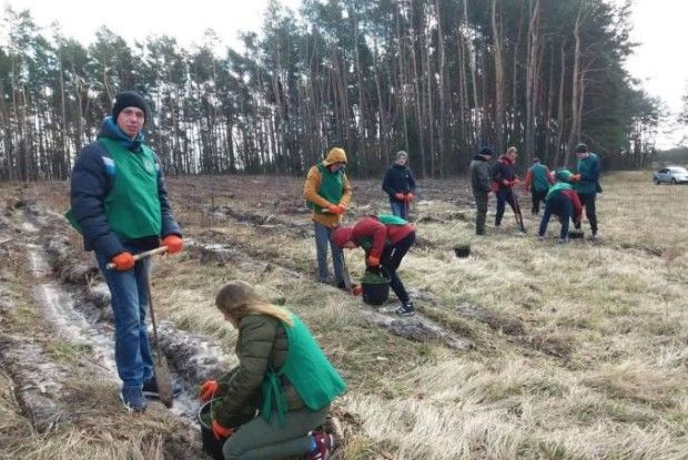 На Волині започатковано еко-челендж #селфізлісу