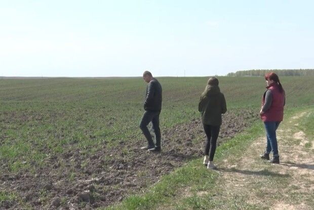 На Волині у вдови атовця, поки вона хворіла, забрали 30 гектарів поля (Відео)