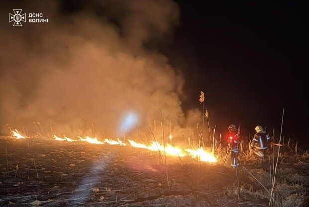 За добу на Волині вигоріло понад 7 гектарів землі