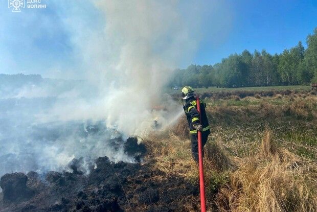 На Волині горіла суха трава і торфовище (Фото)