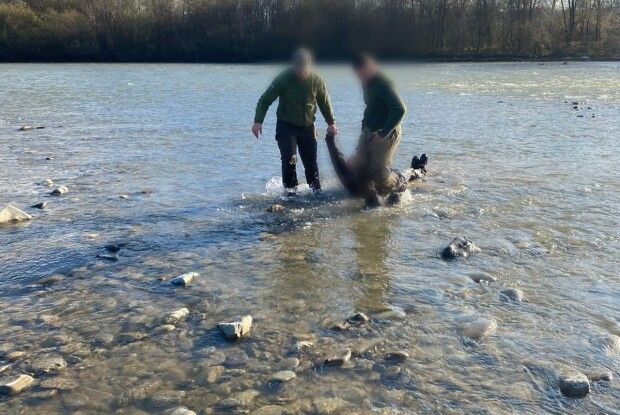 Батько із сином ледь не втопилися, тікаючи за кордон 