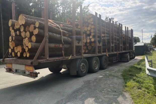 Дерева з власного паю? Поліцейські Рівненщини затримали вантажівку, заповнену вільхою
