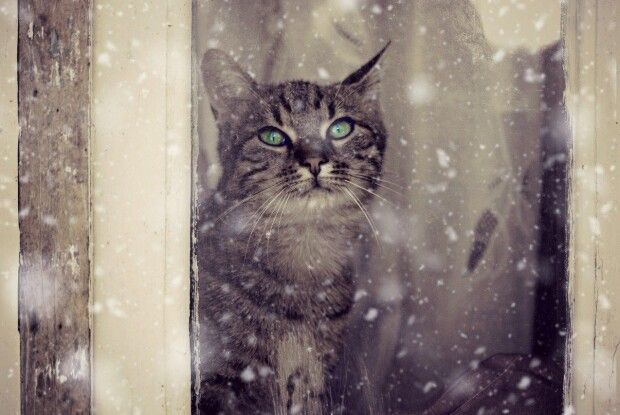 17 лютого: свята і пам’ятні дати