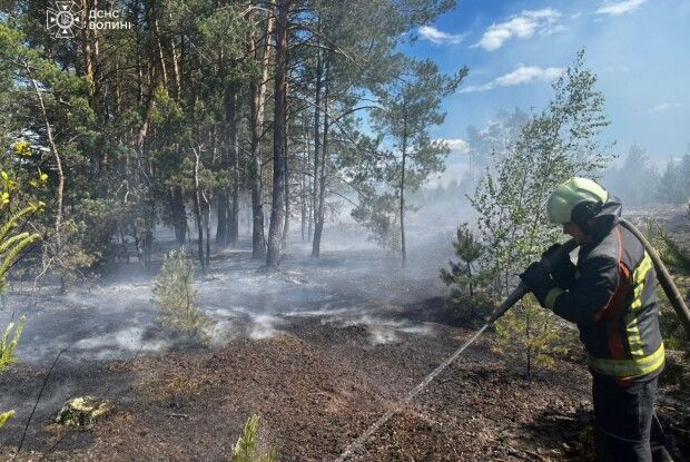 На Волині суха трава палала неподалік села