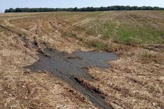 Мешканці Володимира потерпають від смороду