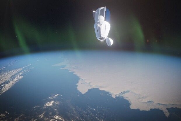 Команда Ілона Маска полетіла в космос... вирощувати гриби