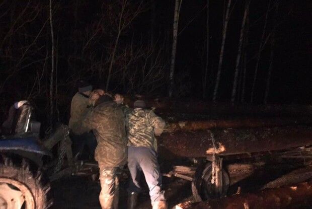На Рівненщині затримали шістьох лісокрадіїв