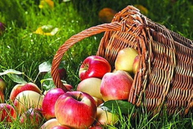Щоб довго смакувати яблуками